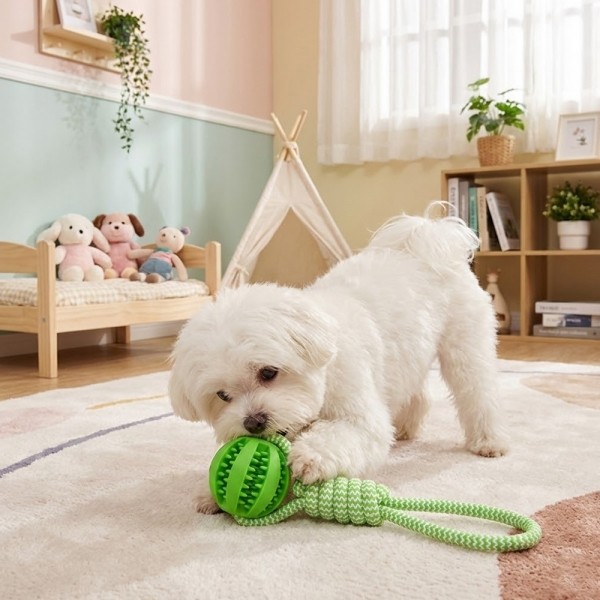 페오펫몰,예보들 강아지 치석제거 터그놀이 장난감