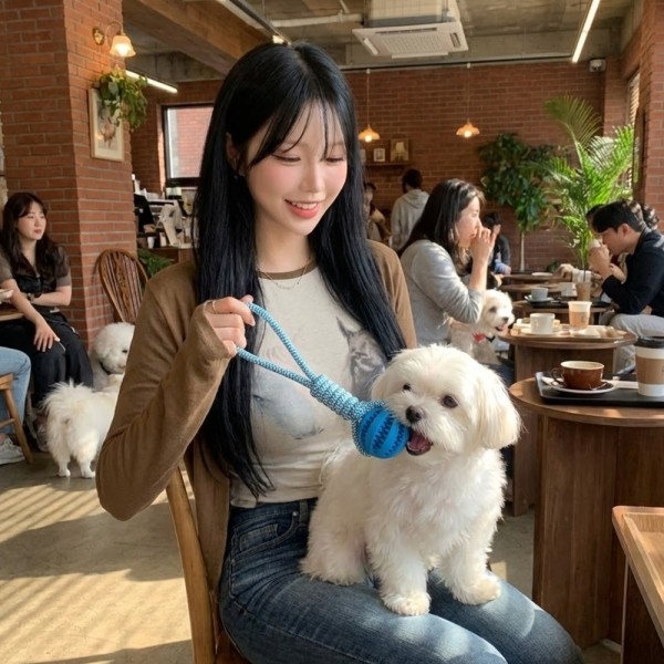 페오펫몰,예보들 강아지 치석제거 터그놀이 장난감