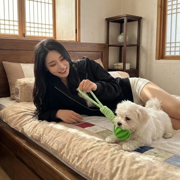 페오펫몰,예보들 강아지 치석제거 터그놀이 장난감