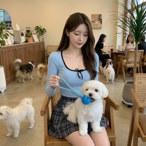 페오펫몰,예보들 강아지 치석제거 터그놀이 장난감