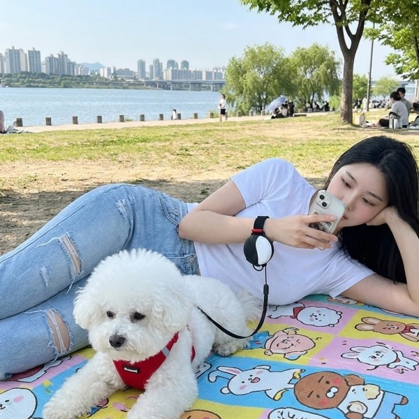 페오펫몰,예보들 자유로운 손목형 웨어러블 강아지 자동 리드줄