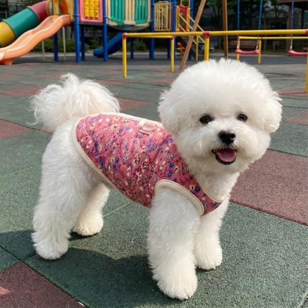 페오펫몰,하네스 필요없는 강아지 누빔 조끼 강아지 패딩 조끼 하네스 일체형 퀼팅 겨울 옷 누빔 산책용 꽃무늬 소형견 중형견