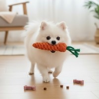 튼튼한 면로프 강아지 노즈워크 당근 장난감 치석제거 터그놀이