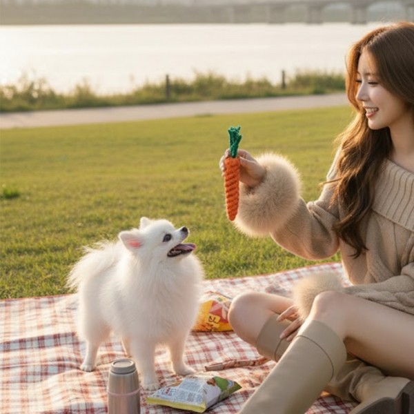 페오펫몰,튼튼한 면로프 강아지 노즈워크 당근 장난감 치석제거 터그놀이