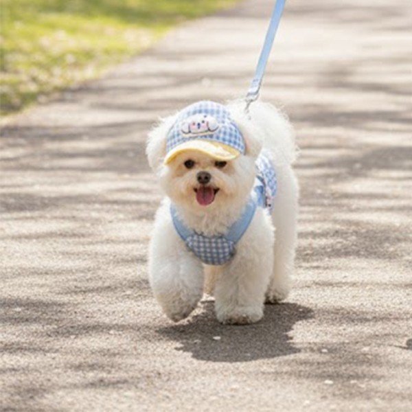 페오펫몰,예보들 새끼 강아지 여름 하네스 고양이하네스 HARNESS 개목줄