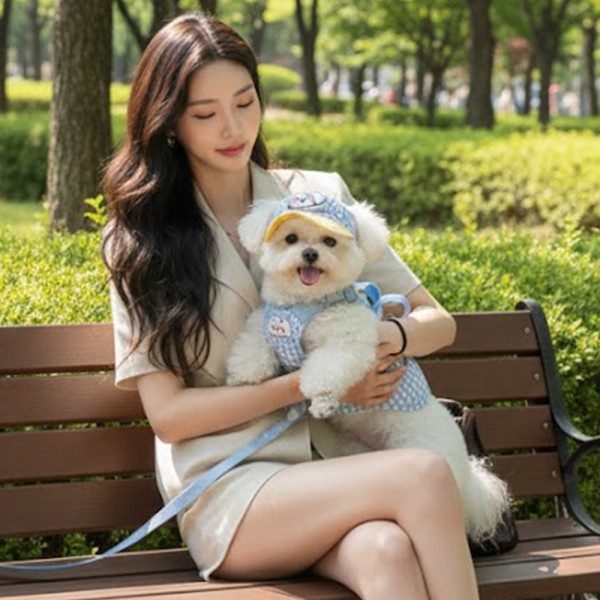 페오펫몰,예보들 새끼 강아지 여름 하네스 고양이하네스 HARNESS 개목줄