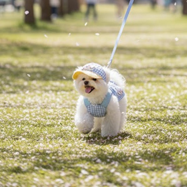 페오펫몰,예보들 새끼 강아지 여름 하네스 고양이하네스 HARNESS 개목줄