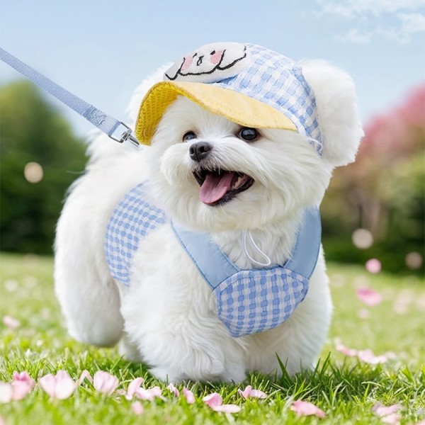 페오펫몰,예보들 새끼 강아지 여름 하네스 고양이하네스 HARNESS 개목줄