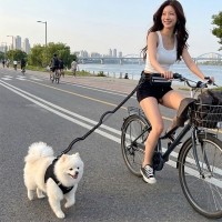 고탄성 충격흡수 핸즈프리 강아지 리드줄 멀티 산책 파우치 벨트 세트 2종