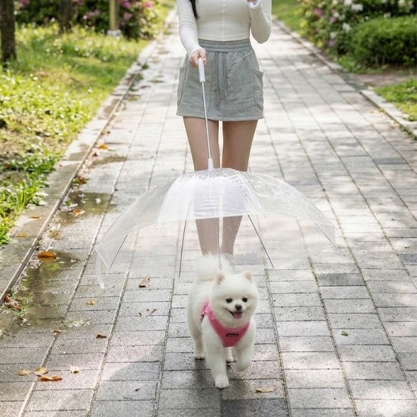 페오펫몰,예보들 강아지 우산 강아지산책 거꾸로우산 코스프레
