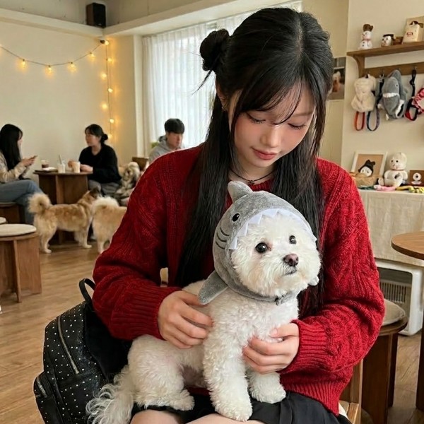 페오펫몰,[반려동물] 귀여운 상어 인형 펫 모자 강아지 고양이 공용 코스튬 소품