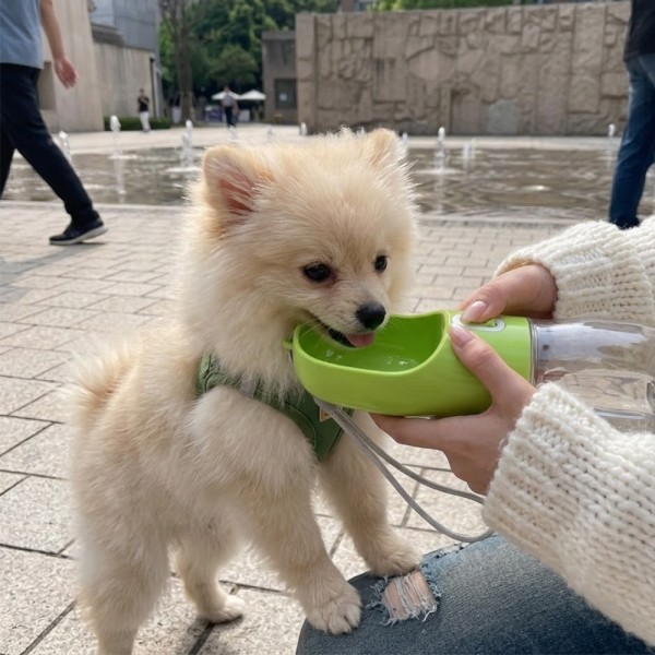 페오펫몰,강아지 물병산책 휴대용 물통 물병