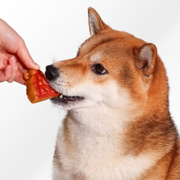 페오펫몰,[감사특가] 펫투데이 댕댕야시장 치석제거 덴탈껌 5종 택1