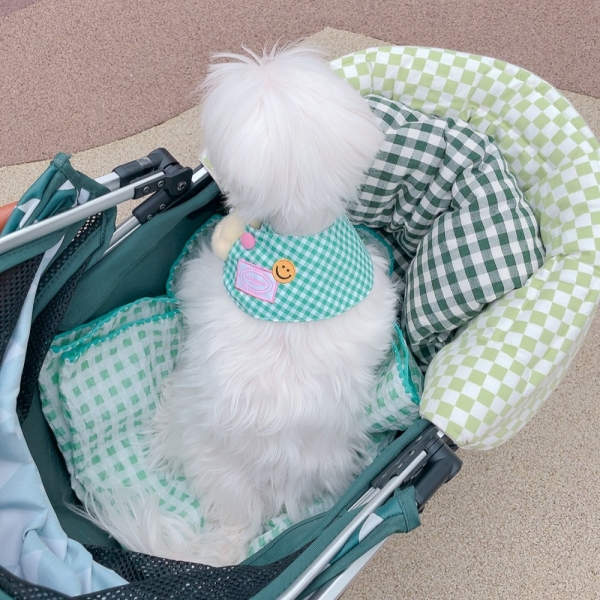 페오펫몰,라파미유 베베블랭킷 강아지담요 강아지이불 GREEN L