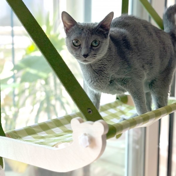 페오펫몰,네이처펫 흡착식 창문형 고양이 해먹