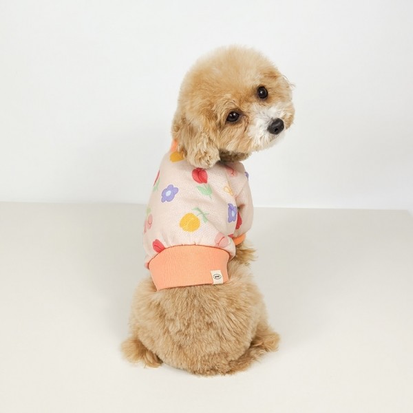 페오펫몰,[꽃길특가] 그루밍독 반려동물 봄봄 크롭 맨투맨 S-2XL, 3 colors