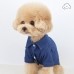 썸네일(스크롤)