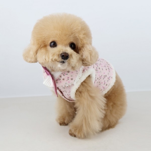 페오펫몰,그루밍독 반려동물 명절한복 꽃댕이 배자조끼/케이프, 2colors