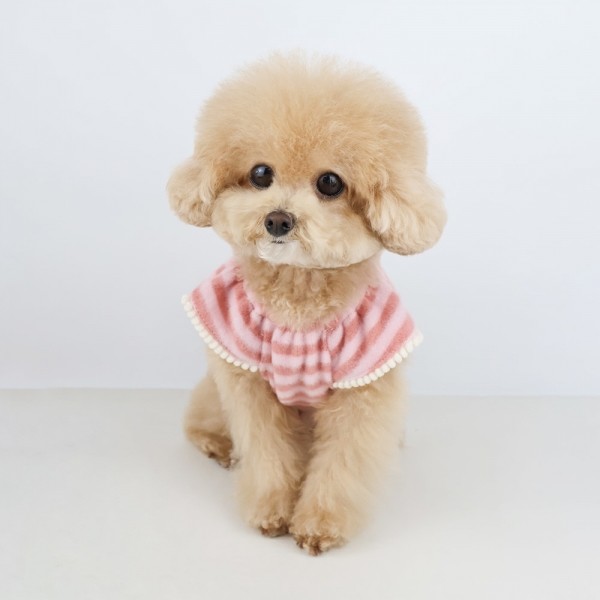 그루밍독 반려동물 밀키셔링 니트 S-2XL, 2 colors