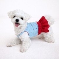 그루밍독 반려동물 레드도트 원피스 S-XL, 2 colors