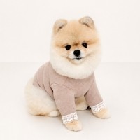 그루밍독 반려동물 가을이너 멜로우 레이스 티셔츠 S-2XL, 3 colors