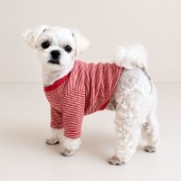 그루밍독 가을옷 우디 단추 티셔츠 S-2XL, 3 colors