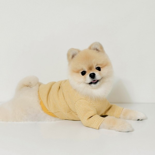페오펫몰,그루밍독 가을옷 우디 단추 티셔츠 S-2XL, 3 colors