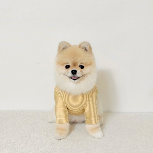 페오펫몰,그루밍독 가을옷 우디 단추 티셔츠 S-2XL, 3 colors
