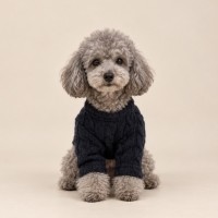 그루밍독 강아지아우터 꽈배기 니트 가디건 S-XL, 2 colors