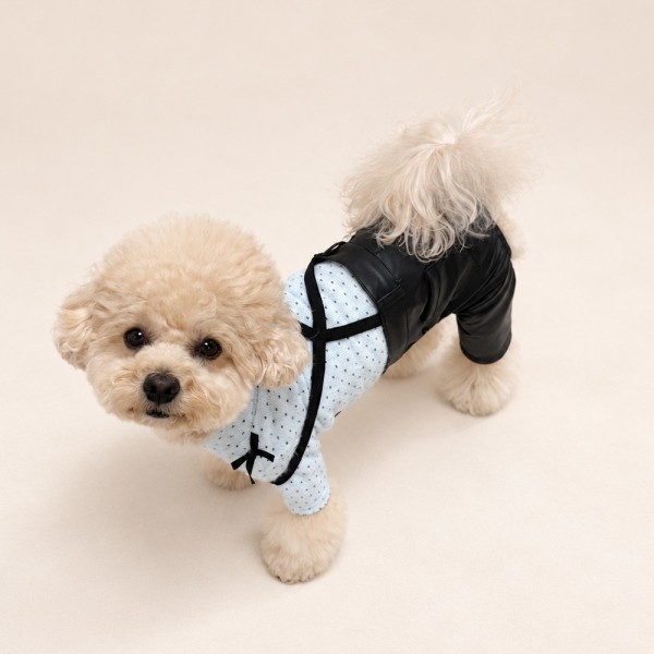 페오펫몰,그루밍독 가을무드 레더 팬츠 S-XL, 2 colors