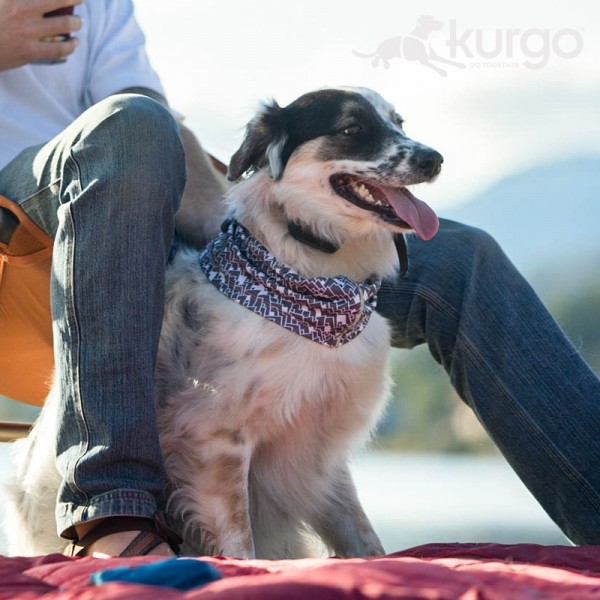 페오펫몰,커고 스크럽 스카프