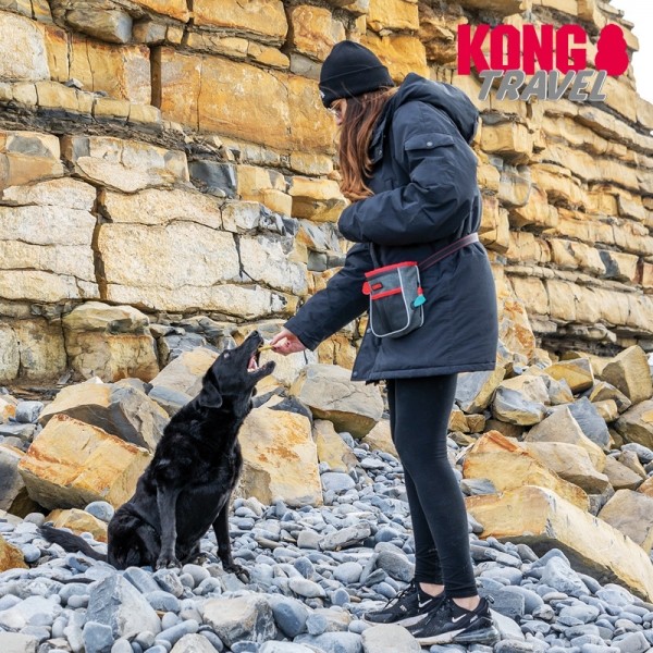 페오펫몰,콩 트레블 핸즈프리 트릿백 강아지 훈련용 산책용 간식 배변봉투 가방