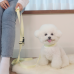 썸네일(스크롤)