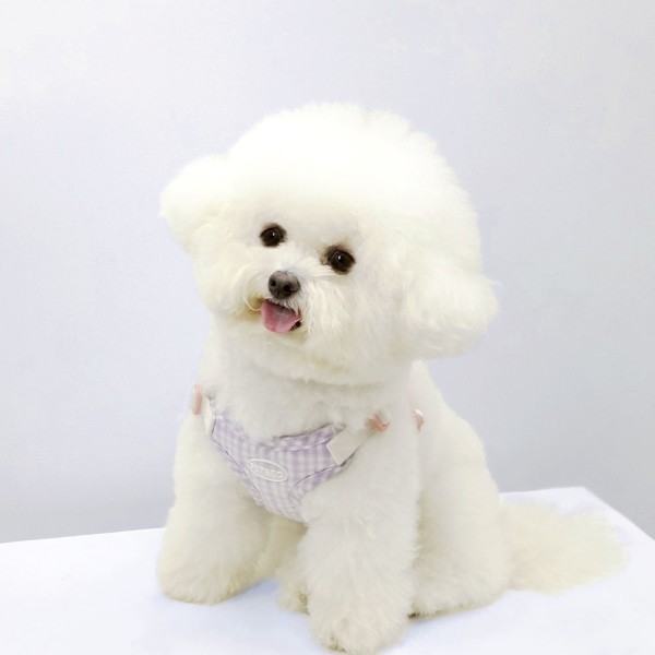 페오펫몰,[감사특가]펫베오 강아지 하네스 가슴줄 X형 방수 프리밴드 하네스