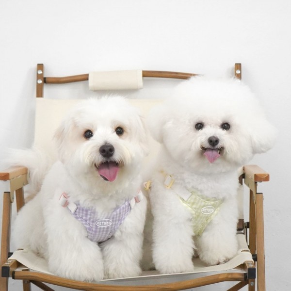페오펫몰,[감사특가]펫베오 강아지 하네스 가슴줄 X형 방수 프리밴드 하네스