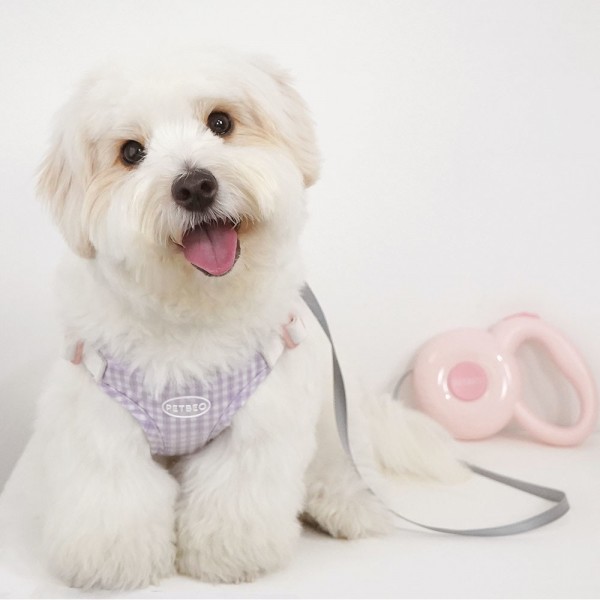 페오펫몰,[감사특가]펫베오 강아지 하네스 가슴줄 X형 방수 프리밴드 하네스