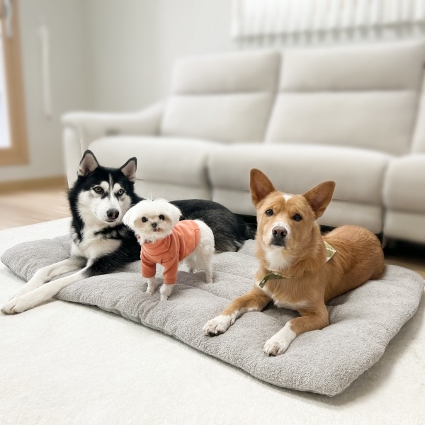 페오펫몰,댕댕이가게 극세사 강아지 애견 방석