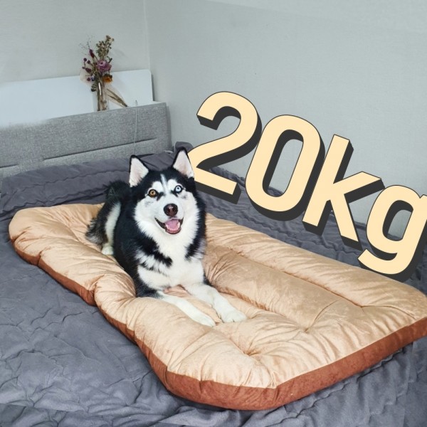 페오펫몰,댕댕이가게 극세사 강아지 애견 방석