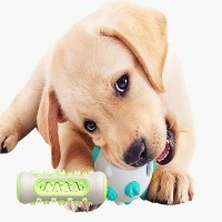 강아지 노즈워크 장난감 치카플레이볼 이갈이