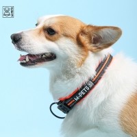 엠펫츠 강아지 목줄 애견 산책 목줄 사이즈 조정 이중잠금