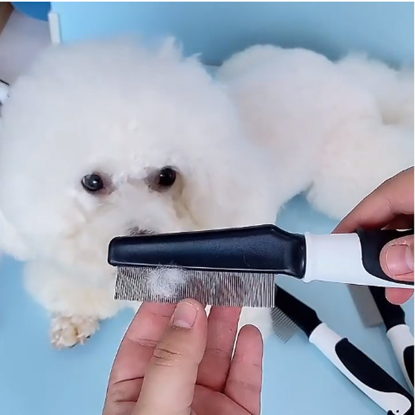 페오펫몰,고양이 강아지 눈꼽빗&참빗 브러쉬 가는털 눈꼽털 제거 빗