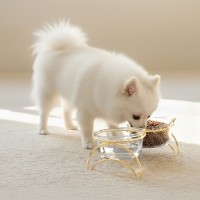 레토 강아지 밥그릇 고양이 물그릇 유리 식기 식탁세트 LCA-RG03