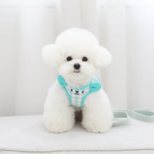 페오펫몰,[리토가토] 썬블리 원터치 하네스