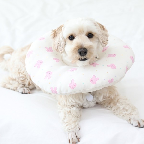 페오펫몰,[리토가토] 오가닉 쿠션 넥카라 (커버분리형) - 래빗