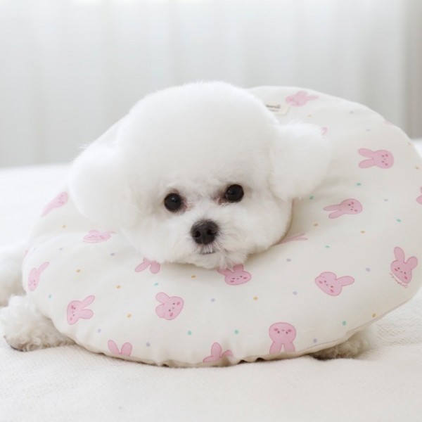 페오펫몰,[리토가토] 오가닉 쿠션 넥카라 (커버분리형) - 래빗