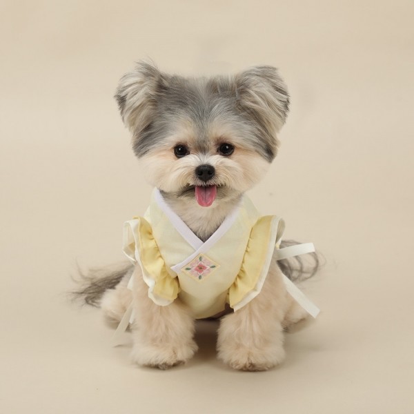 페오펫몰,[리토가토] 꽃나래 케이프 한복배자 - 노랑