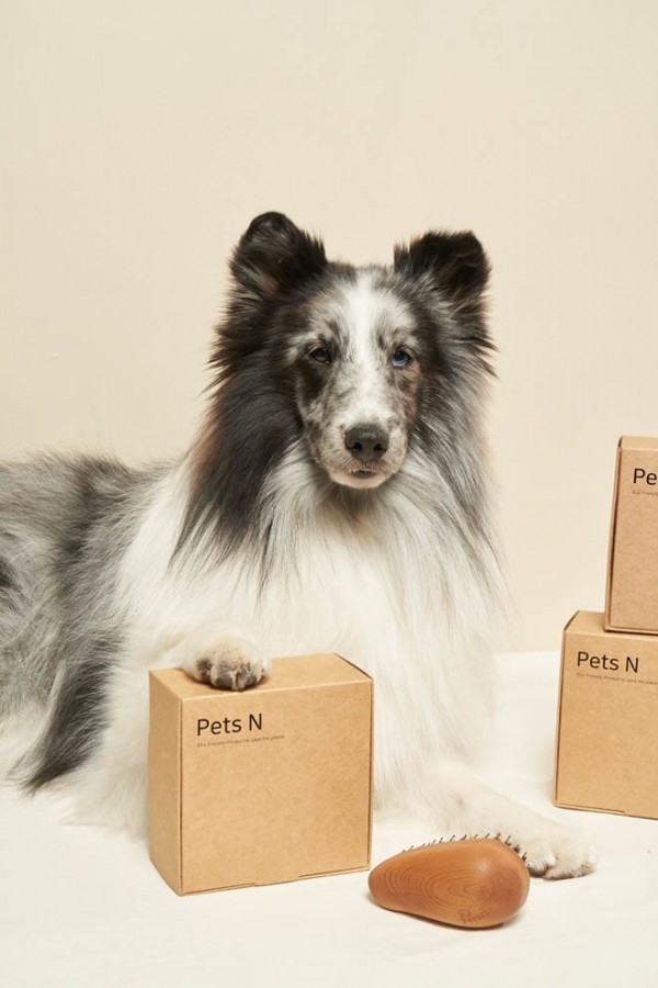 페오펫몰,펫츠엔 슬림 버디브러쉬 강아지빗 고양이빗 반려견 사랑빗