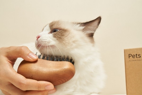 페오펫몰,펫츠엔 슬림 버디브러쉬 강아지빗 고양이빗 반려견 사랑빗