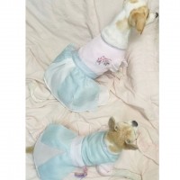 댕선녀/댕선비 한복(+리뉴얼 추가) 핸드메이드강아지한복 강아지한복 소형견한복 중형견한복 대형견한복