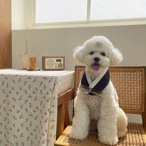 페오펫몰,[우다다다] 명절 한복 케이프